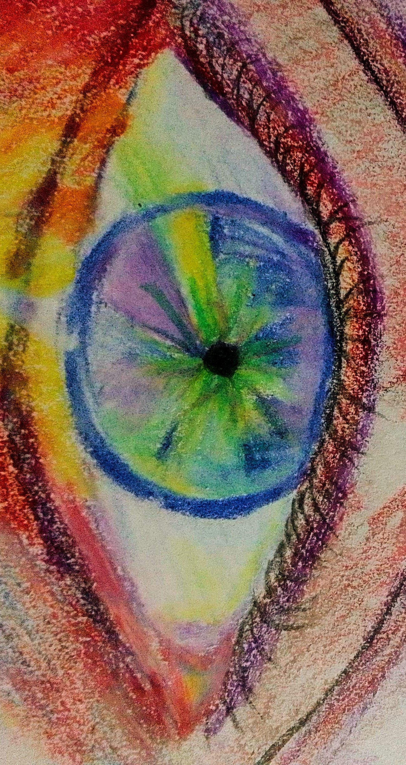eye